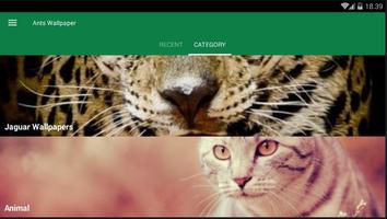 Jaguar Animal Wallpaper स्क्रीनशॉट 3