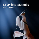 Praying Mantis Animal Wallpaper APK