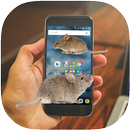 Mouse Walk on Screen APK