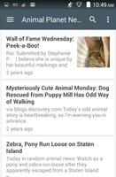 Animal News captura de pantalla 3