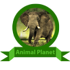 animal planet APK