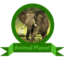 APK animal planet