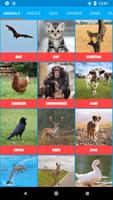 150 звуки животных и викторины постер