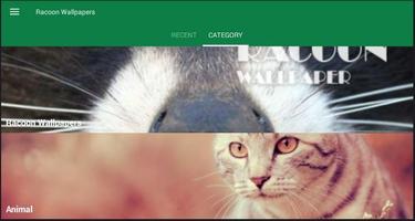 Racoon Animal Wallpaper screenshot 2