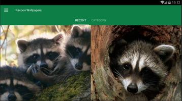 Racoon Animal Wallpaper screenshot 3