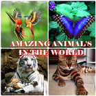 AMAZING ANIMAL IN THE WORLD ไอคอน