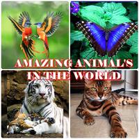 AMAZING ANIMAL IN THE WORLD plakat