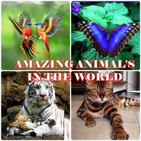 AMAZING ANIMAL IN THE WORLD پوسٹر