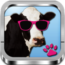 Verses Animals in English APK