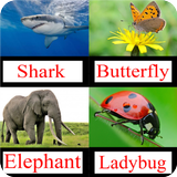 Animal Names ikona