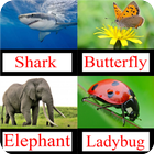 Animal Names आइकन