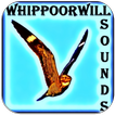 Whippoorwill पक्षी ध्वनि