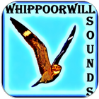 Whippoorwill أصوات الطيور أيقونة