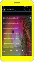 Śpiew ptaków Kanaryjskie screenshot 2
