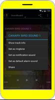 Śpiew ptaków Kanaryjskie screenshot 3