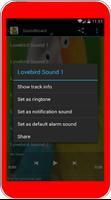 Lovebird Singing screenshot 1