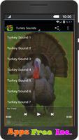Turkey Sounds poster