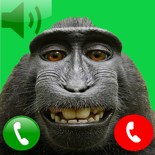 Monkey call