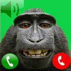 Monkey call icon