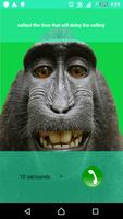 Monkey call постер