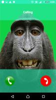 Monkey call تصوير الشاشة 1