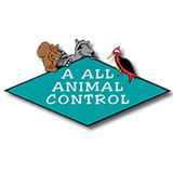 A All Animal Control Tampa-icoon