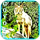 Wild Coyote Sounds آئیکن