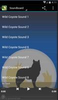 Wild Coyote Sounds Affiche