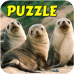 Animal Fun Puzzle