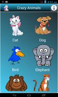 Funny Animals Affiche