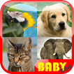 Baby Animal Educational