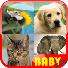 Baby Animal Educational आइकन