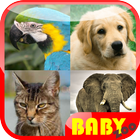 Baby Animal Educational アイコン