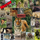 HEWAN KHAS DI INDONESIA APK