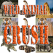 Wild Animal Crush