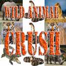 APK Wild Animal Crush