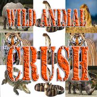 Wild Animal Crush Plakat