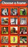 Animal Photo Editor ảnh chụp màn hình 1