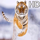 Animal Wallpapers App 🐈🐅🐎 : APK