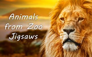 Animals from Zoo Jigsaws Affiche