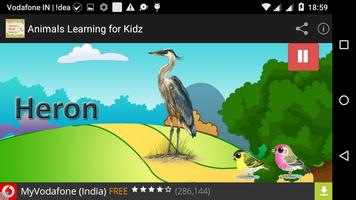 Animals Education For Kids 스크린샷 3