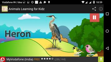 Animals Education For Kids screenshot 3