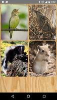 Sounds of animals 4 ภาพหน้าจอ 3