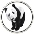 Panda Sounds