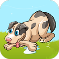 Animals Wonder Mania