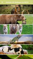 Animals HD Wallpaper by MEZA स्क्रीनशॉट 1