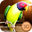 Birdy Pet - Parrot Life Simulator