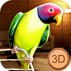 Birdy Pet - Parrot Life Simulator আইকন