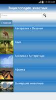 Энциклопедия Животных الملصق