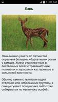 Энциклопедия Животных تصوير الشاشة 2
